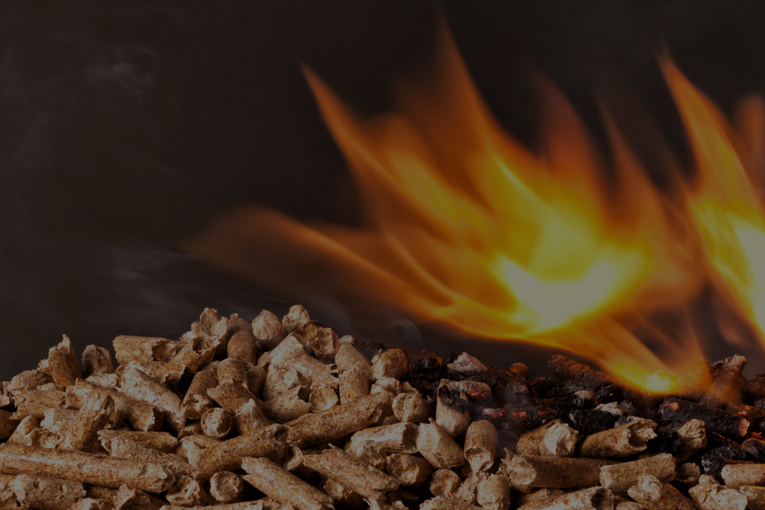 Squier Lumber & Hardware Store in Monson, MA